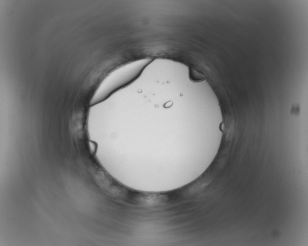 X0000113150670200909251329