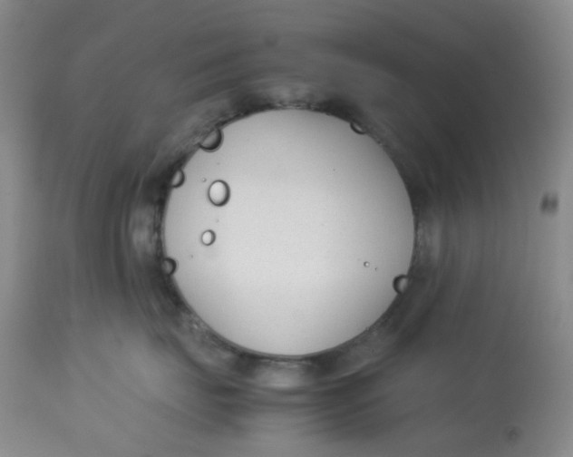 X0000113150671200909251329