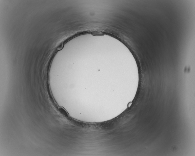 X0000113150673200909251328