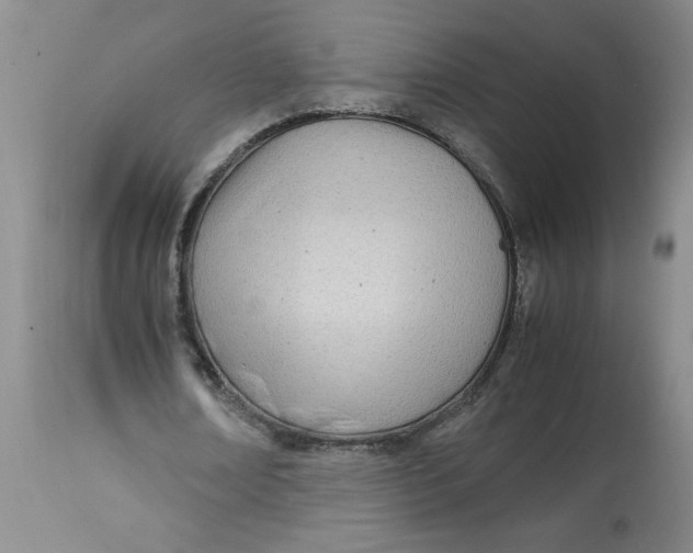 X0000113150674200909251328