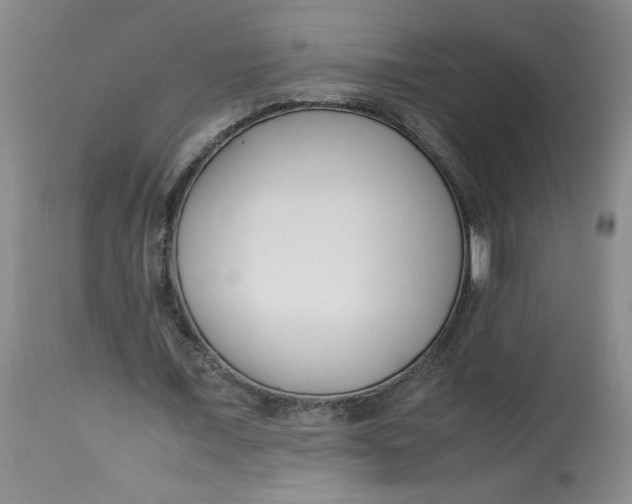 X0000113150675200909251328