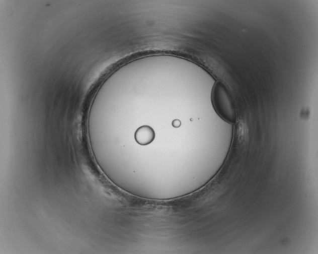 X0000113150676200909251328