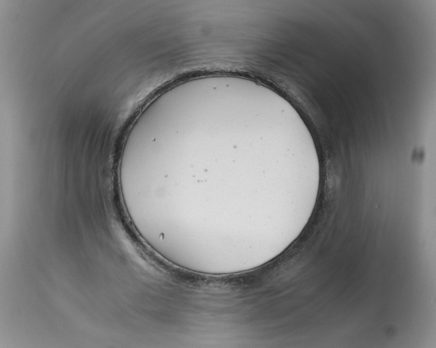 X0000113150677200909251328