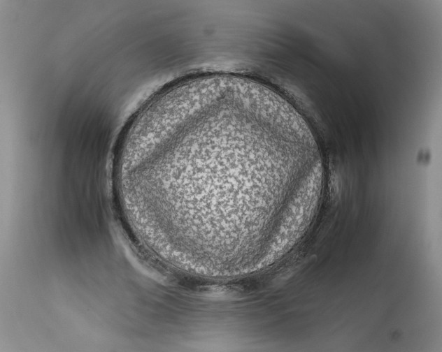 X0000113150678200909251328