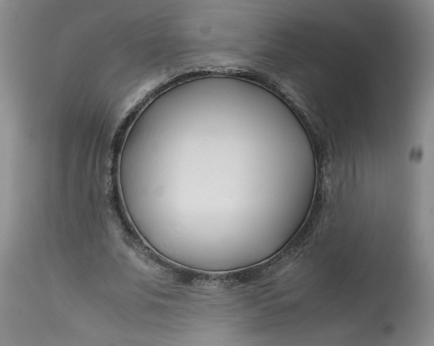 X0000113150679200909251328