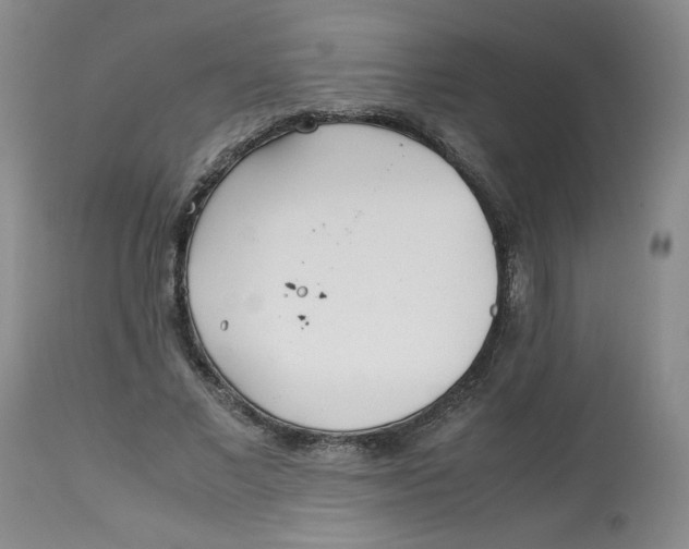 X0000113150685200909251328