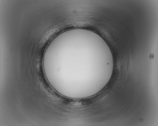 X0000113150687200909251328