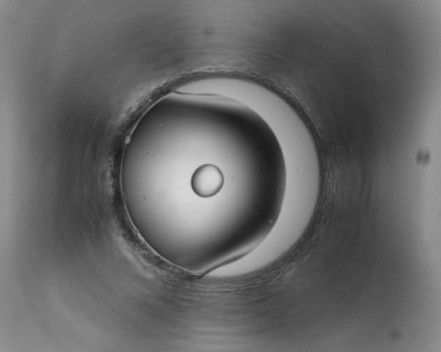 X0000113150688200909251328