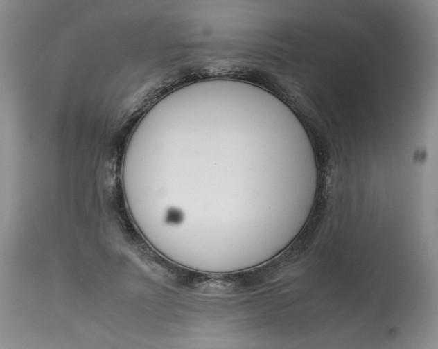 X0000113150691200909251328