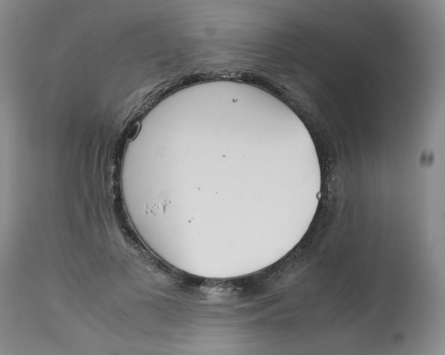 X0000113150693200909251328