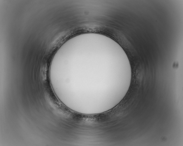 X0000113150694200909251328