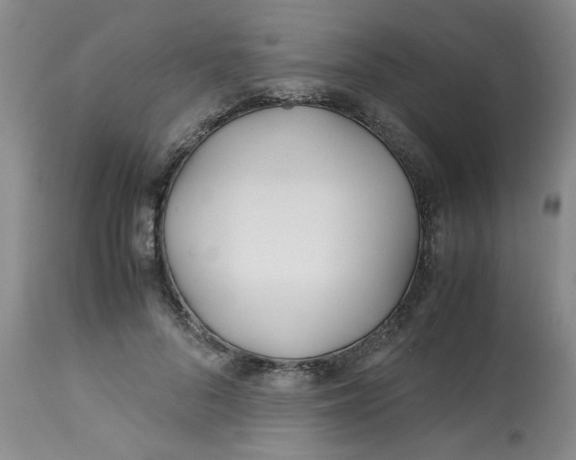 X0000113150696200909251328