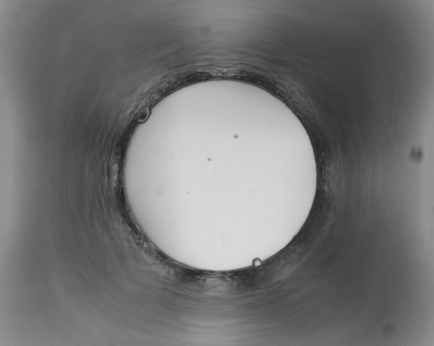 X0000113150697200909251328