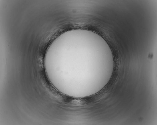 X0000113150699200909251328