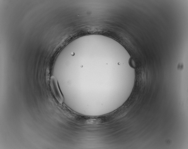 X0000113150700200909251328