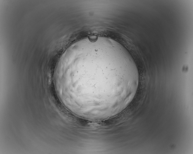 X0000113150703200909251328