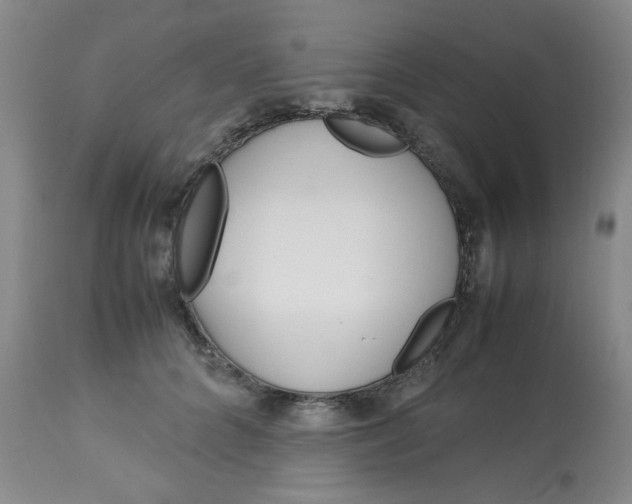 X0000113150704200909251328