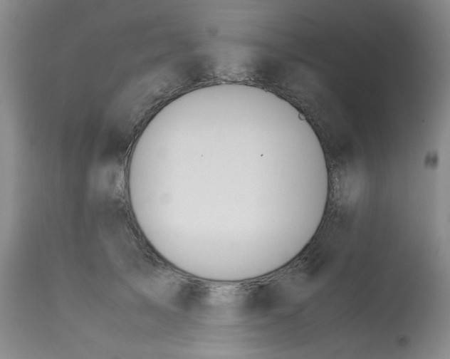 X0000113150705200909251328