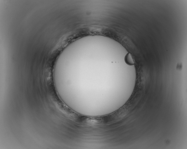 X0000113150706200909251328