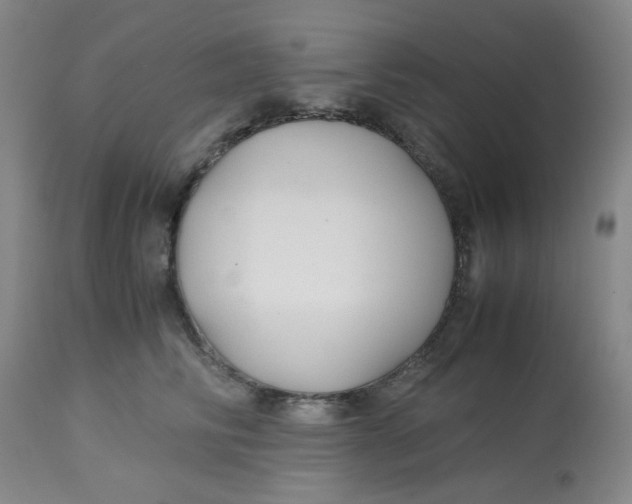 X0000113150710200909251328