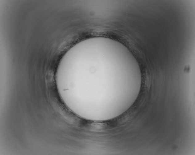 X0000113150711200909251328