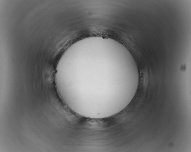 X0000113150712200909251328