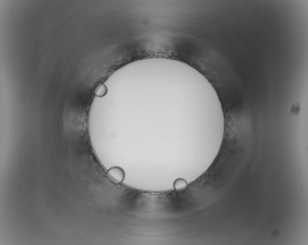 X0000113150713200909251328