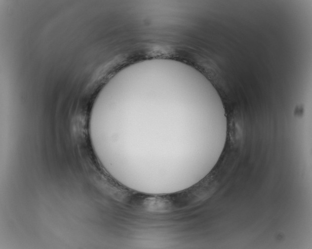 X0000113150714200909251328