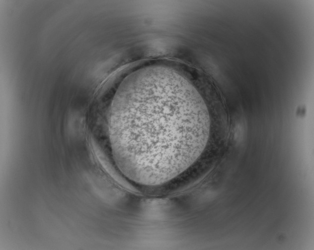 X0000113150716200909251328