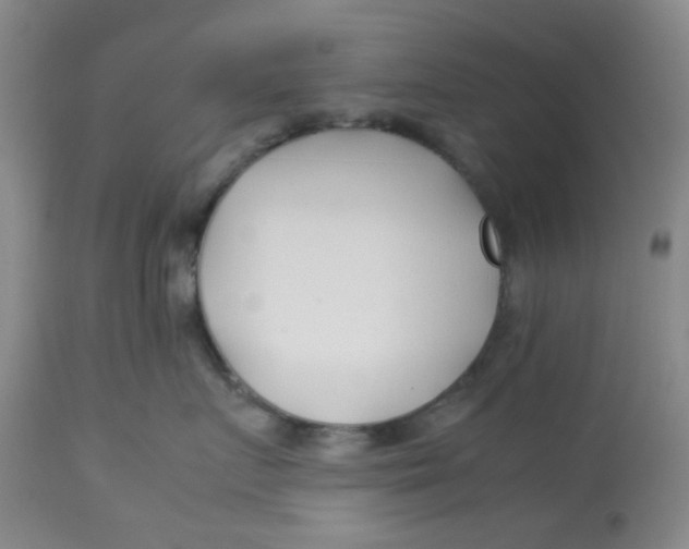 X0000113150719200909251328