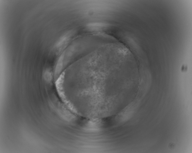 X0000113150720200909251328