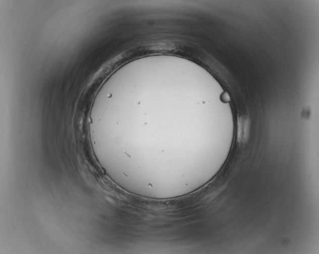 X0000113150723200909251327