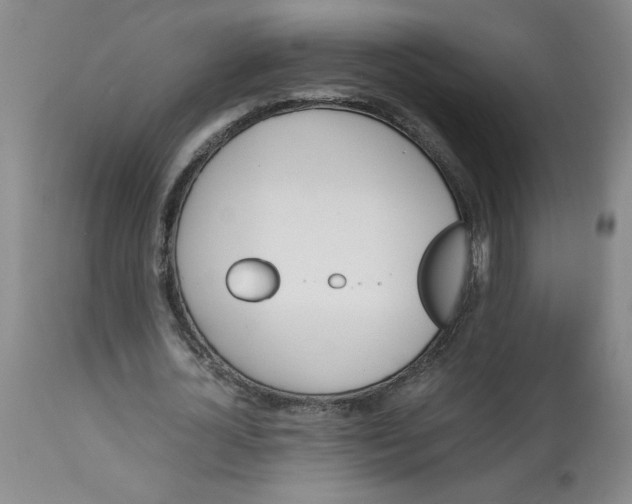 X0000113150724200909251327