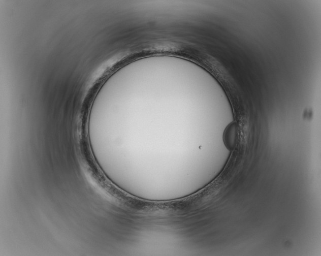 X0000113150726200909251327