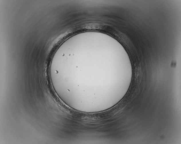 X0000113150727200909251327