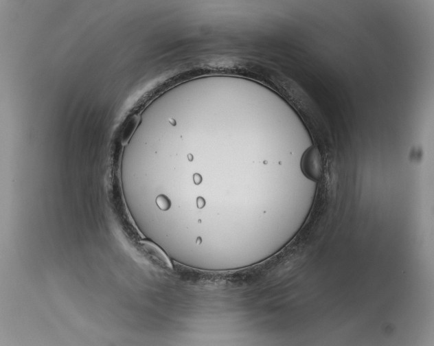 X0000113150728200909251327