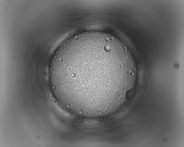 X0000113150729200909251327