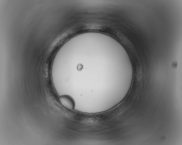 X0000113150731200909251327