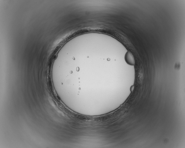 X0000113150732200909251327