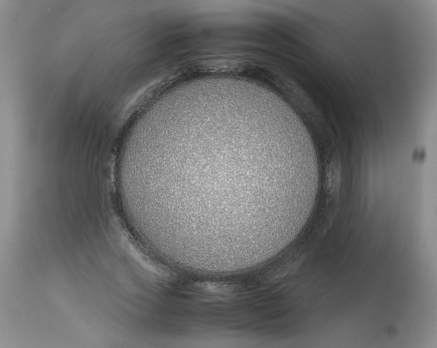 X0000113150733200909251327