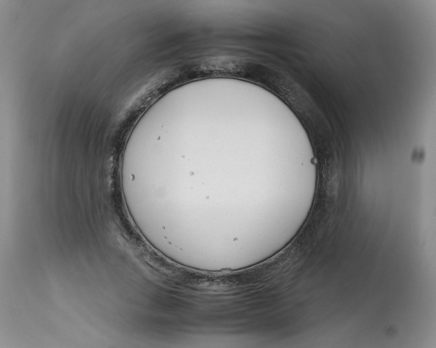 X0000113150735200909251327