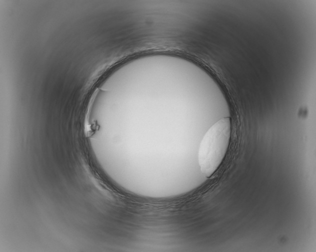 X0000113150736200909251327