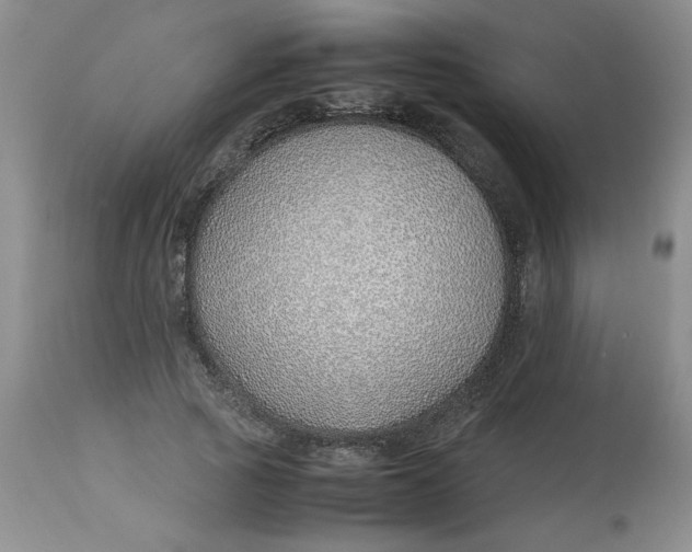 X0000113150737200909251327