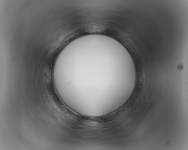 X0000113150743200909251327