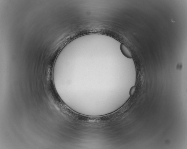 X0000113150744200909251327