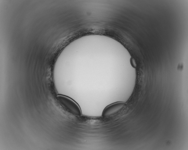 X0000113150748200909251327