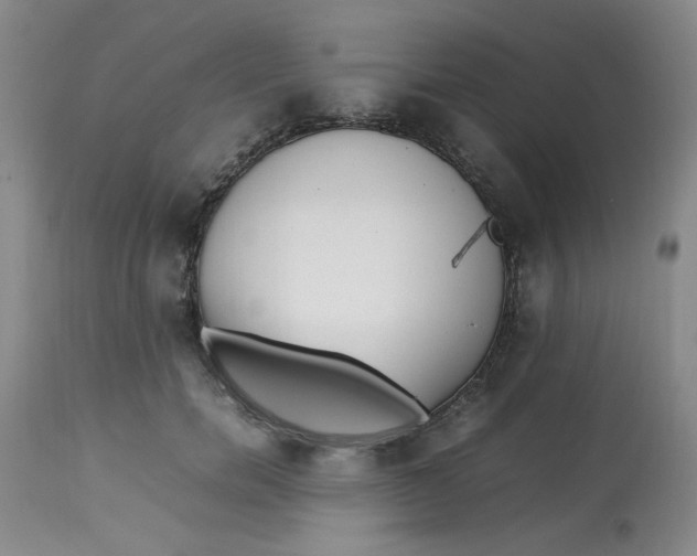 X0000113150750200909251327