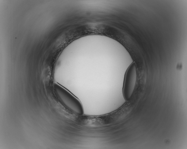 X0000113150752200909251327