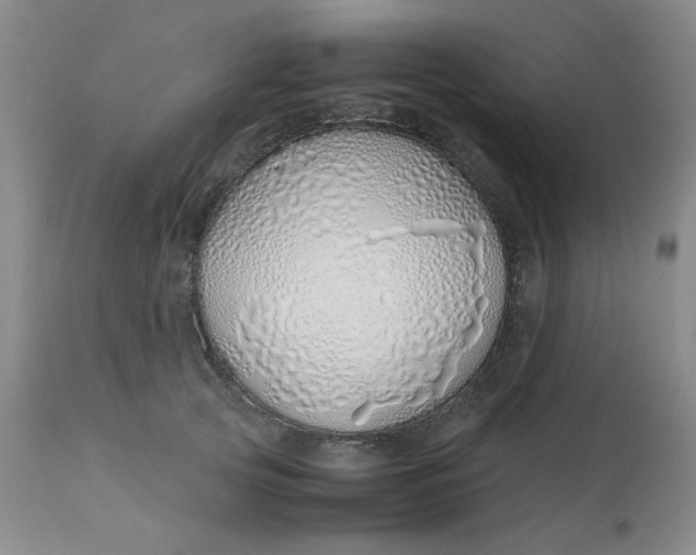 X0000113150753200909251327