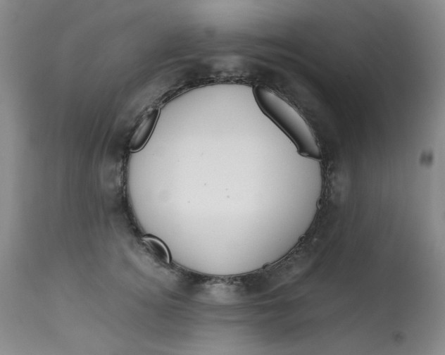 X0000113150756200909251327